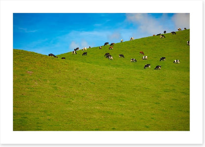 Agriculture