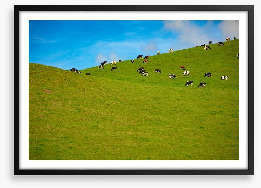 Agriculture