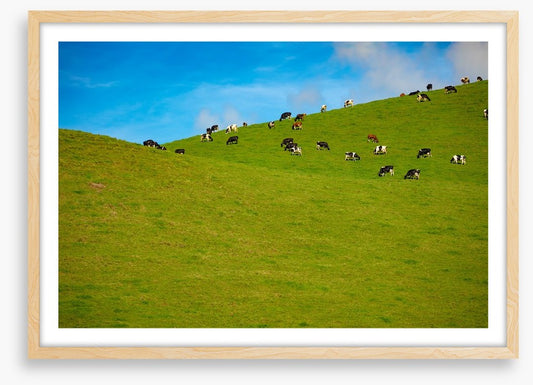 Agriculture