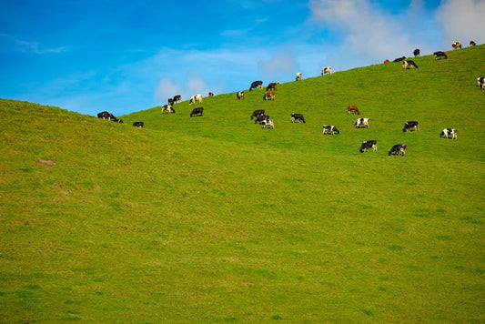 Agriculture