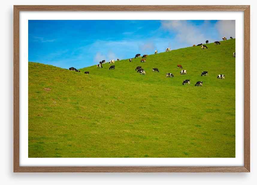 Agriculture