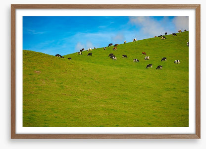 Agriculture