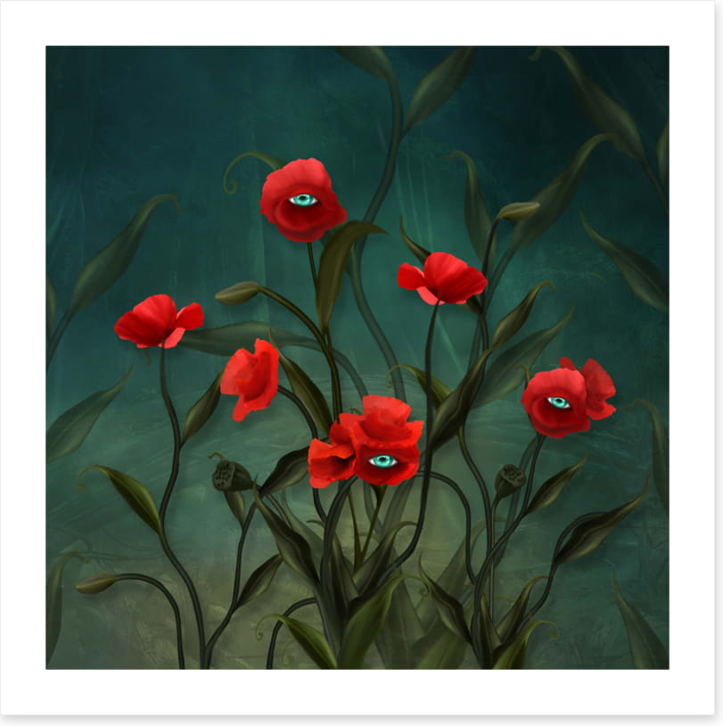 Peeping poppies