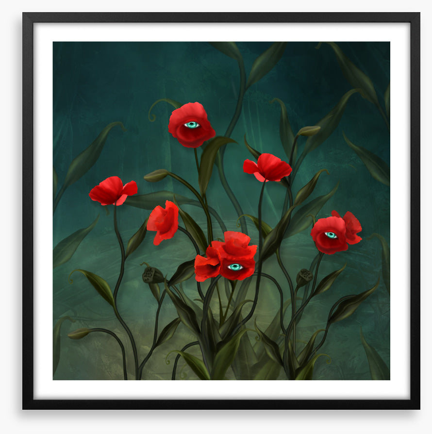 Peeping poppies