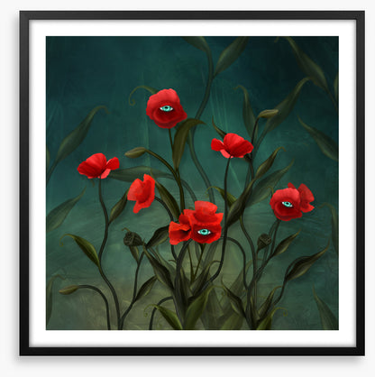 Peeping poppies