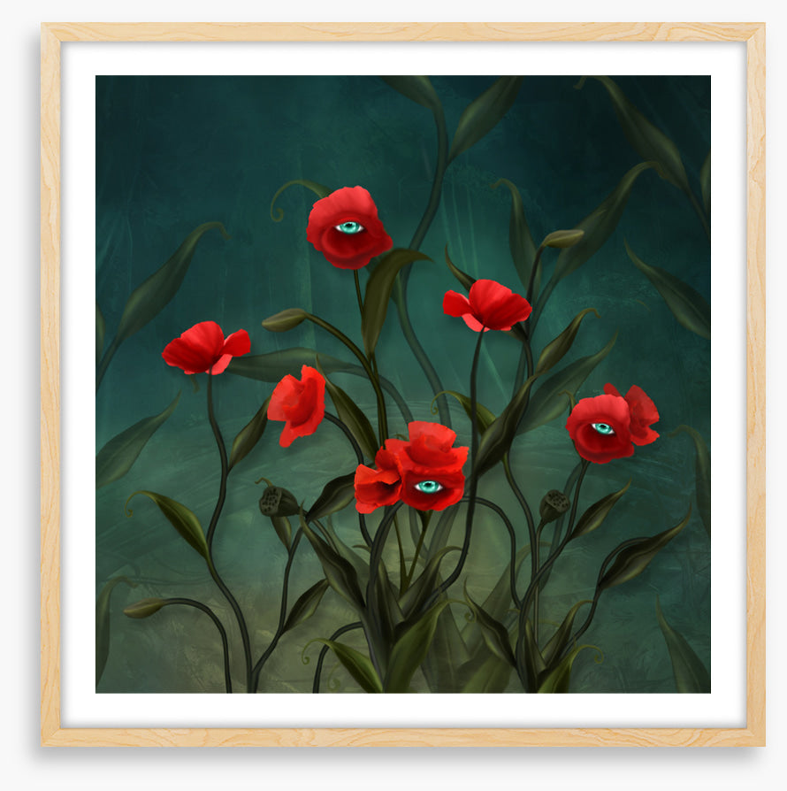 Peeping poppies
