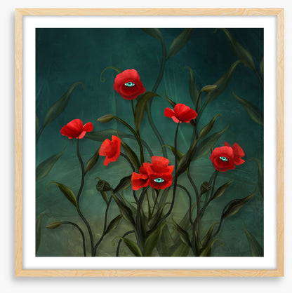 Peeping poppies