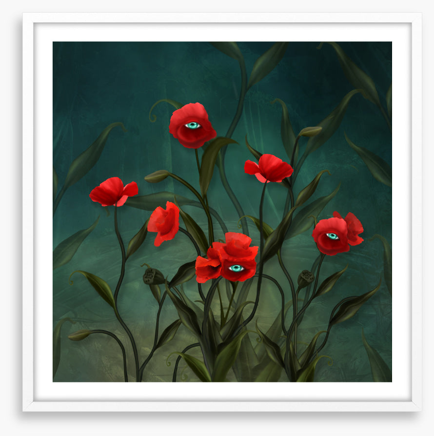 Peeping poppies