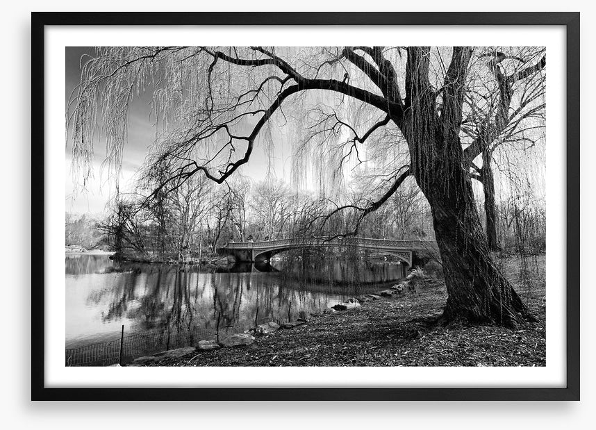 Bow bridge willow