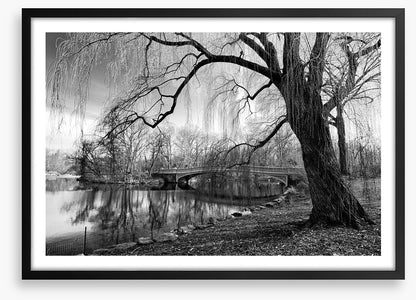 Bow bridge willow