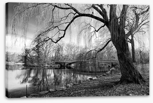 Bow bridge willow