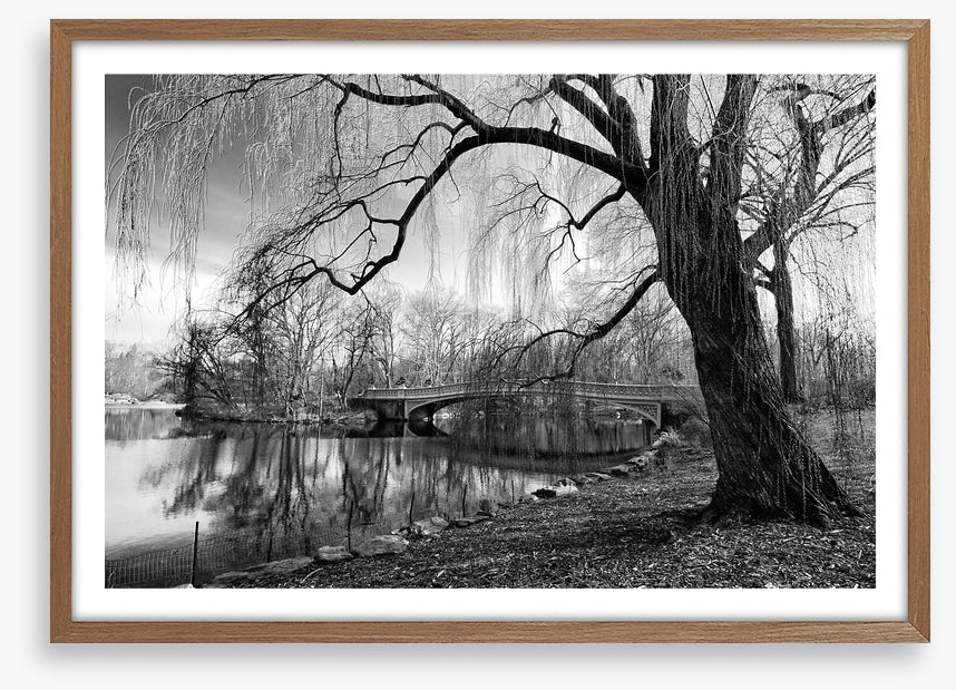 Bow bridge willow