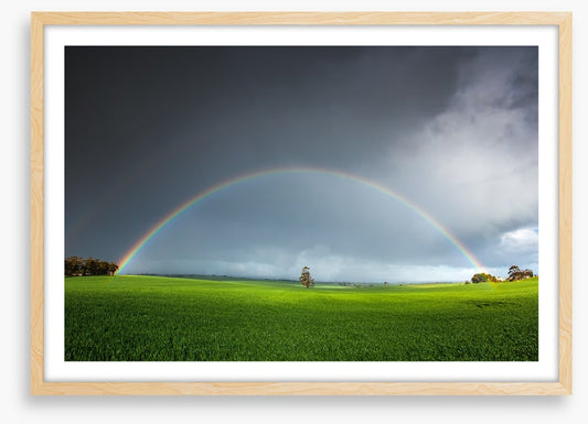 Under the rainbow
