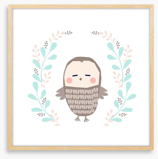 Owls