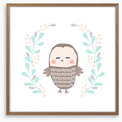 Owls