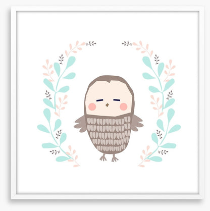 Owls