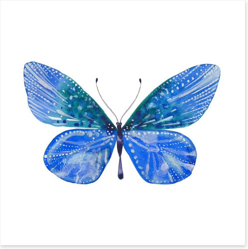 Social butterfly II