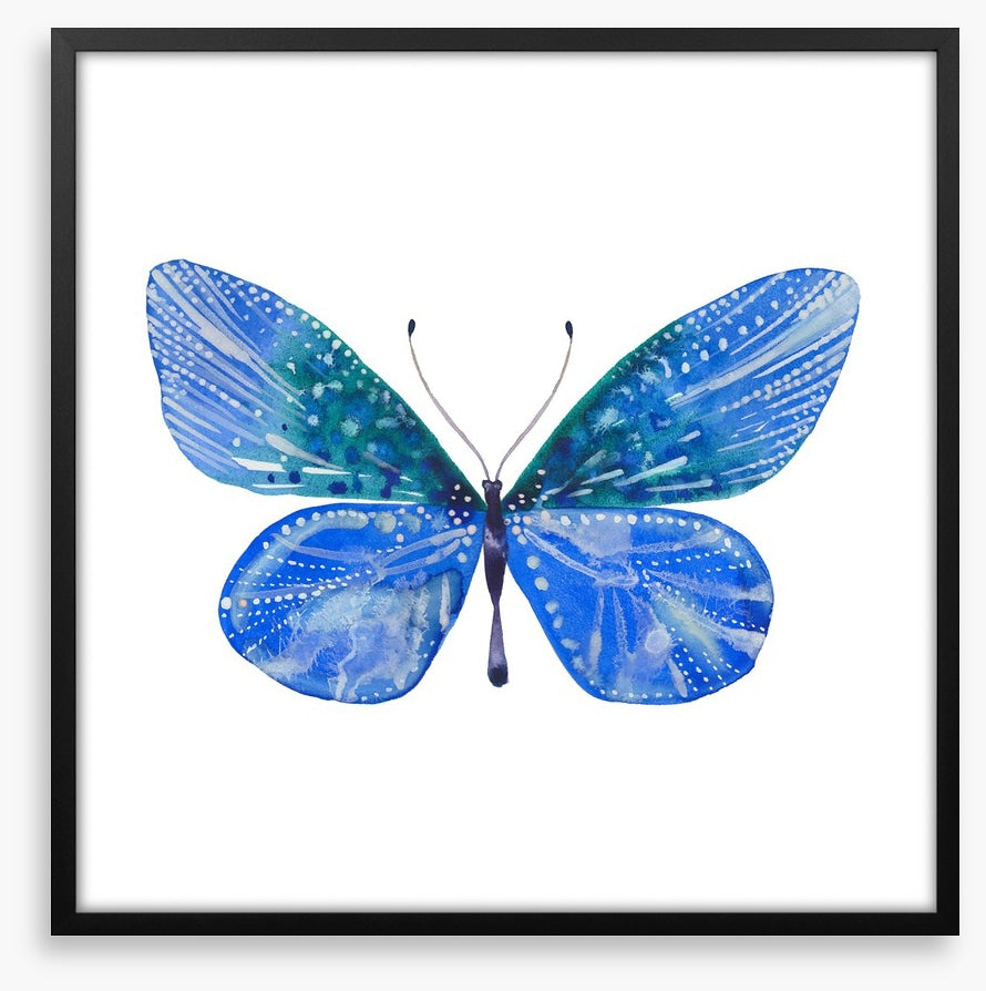 Social butterfly II