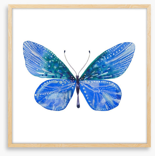 Social butterfly II