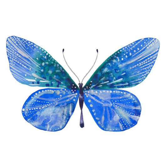 Social butterfly II