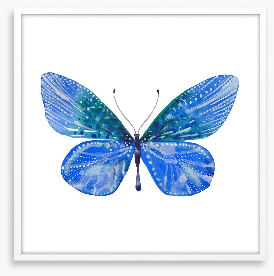 Social butterfly II