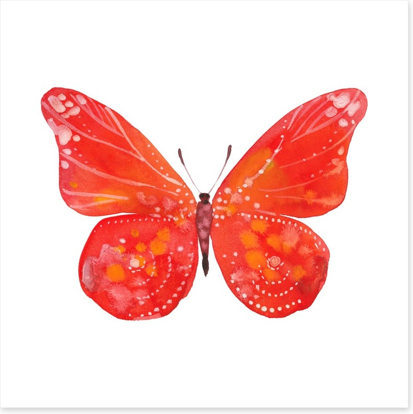 Social butterfly III