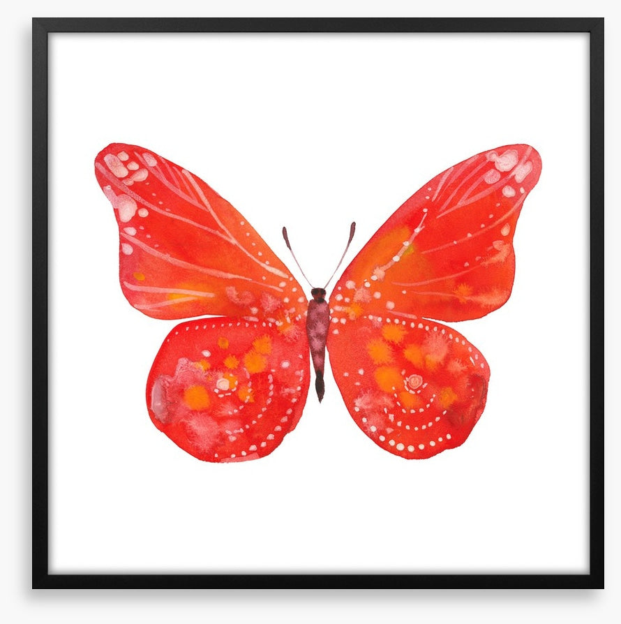 Social butterfly III