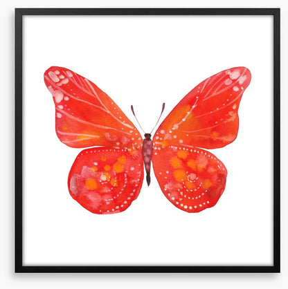Social butterfly III