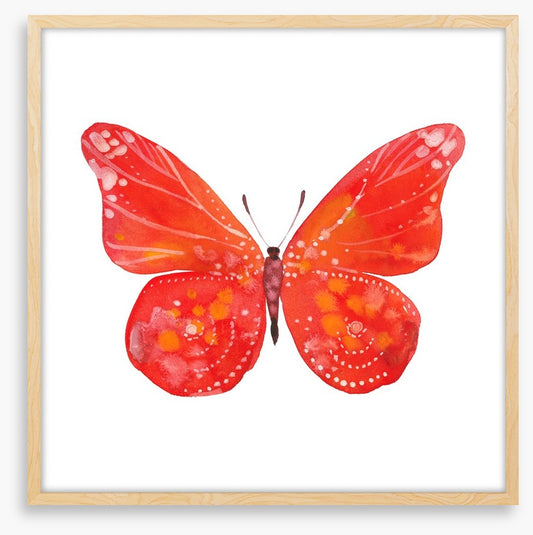 Social butterfly III