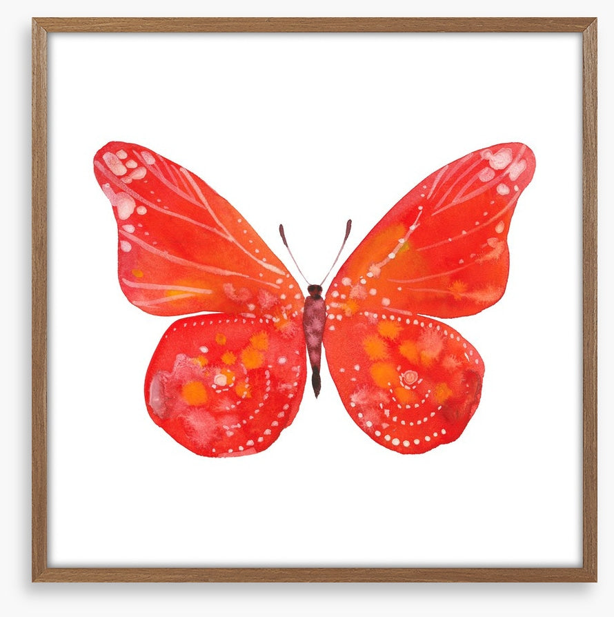 Social butterfly III