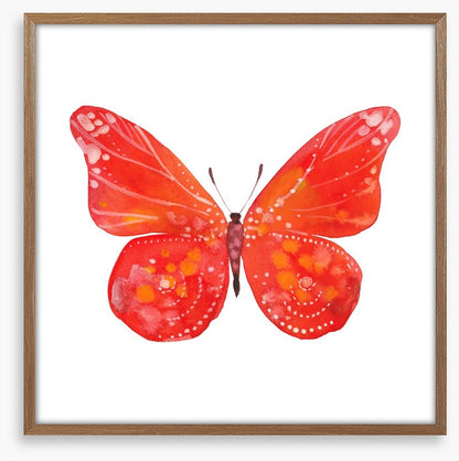 Social butterfly III