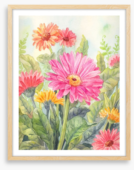 Wild gerbera