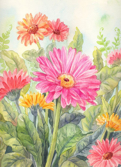 Wild gerbera
