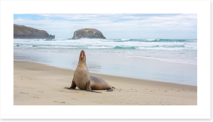 New Zealand