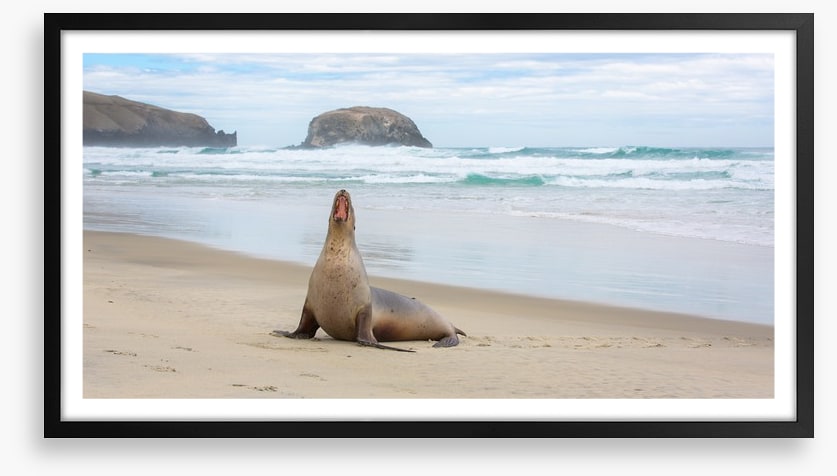 New Zealand