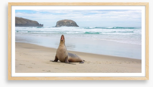 New Zealand
