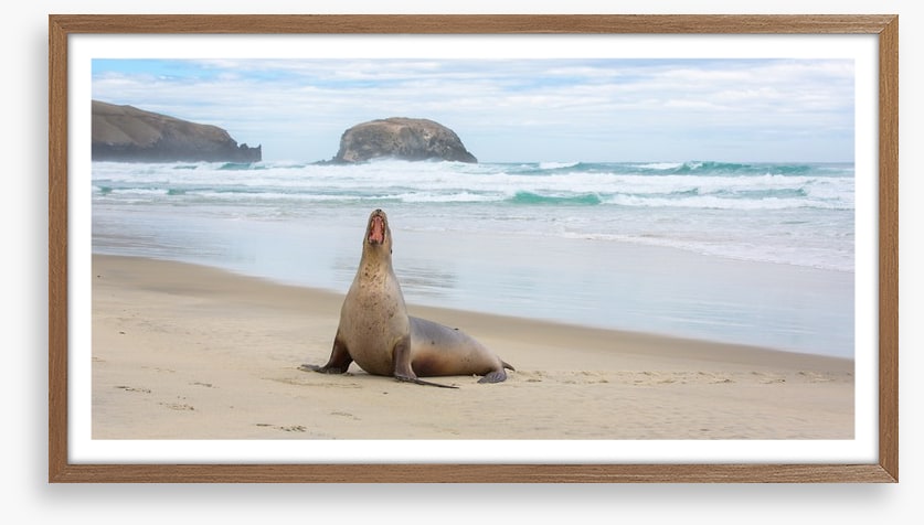 New Zealand