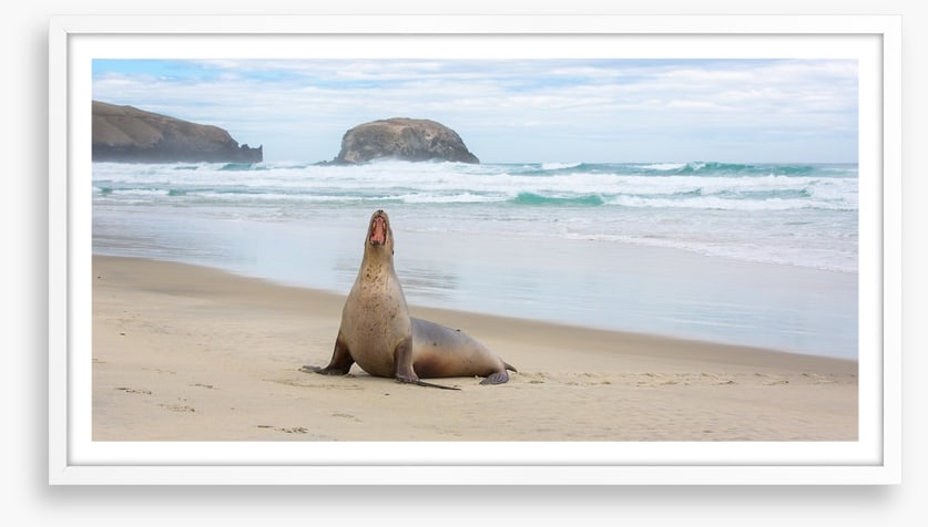 New Zealand