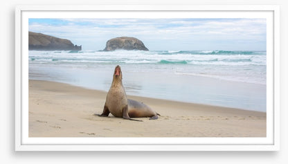 New Zealand