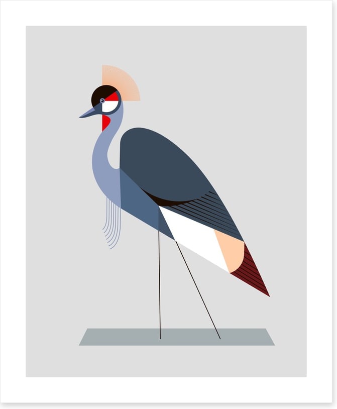 The crowned crane