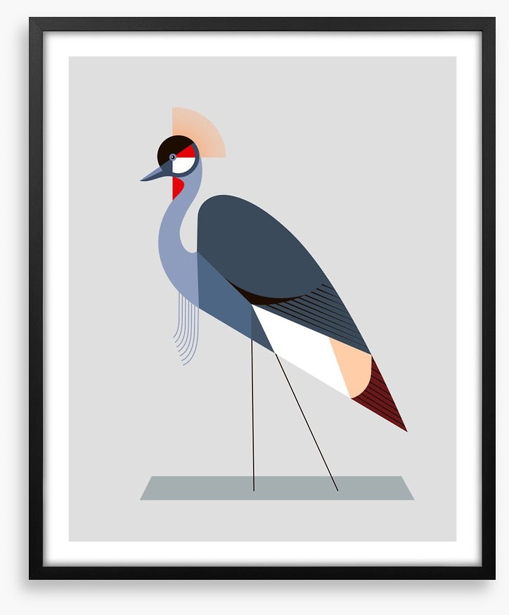 The crowned crane