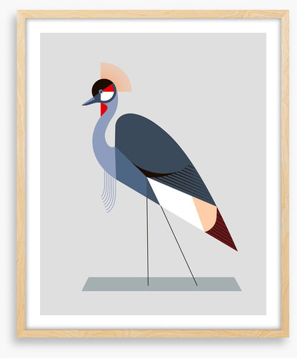 The crowned crane