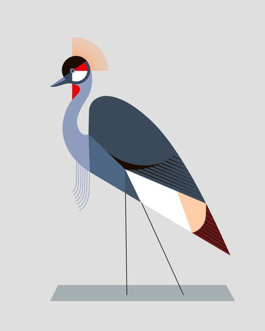 The crowned crane