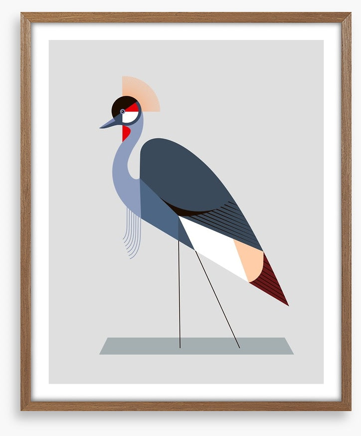 The crowned crane