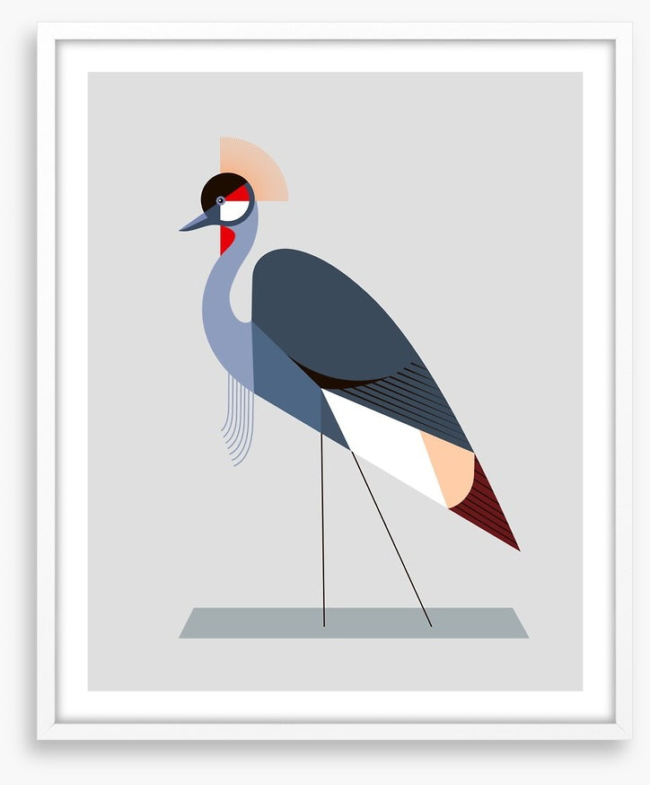 The crowned crane