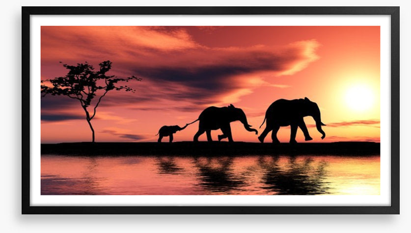 Elephant family silhouette