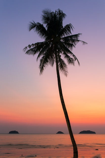 Trees