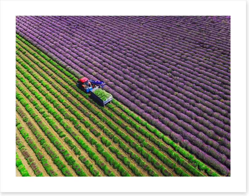 Agriculture