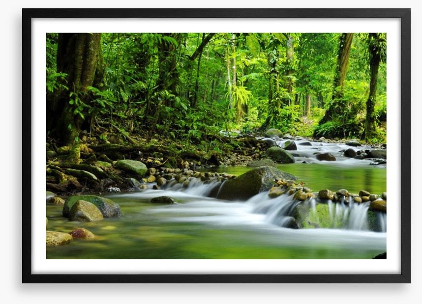 Green jungle stream