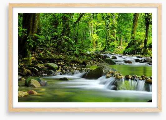Green jungle stream